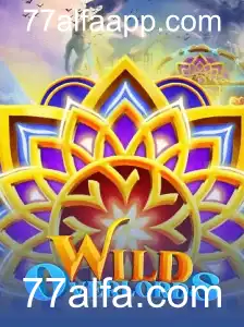 Explorando o Mundo de WildOverlords
